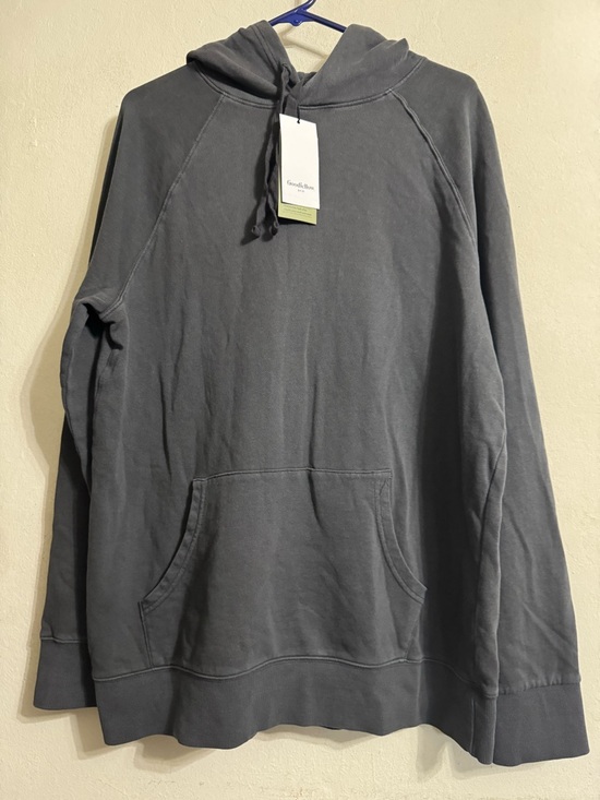 Goodfellow & Co Other - Goodfellow & Co Gray Pullover Hoodie Size L NWT